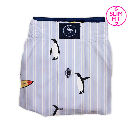 Boxer Penguin Siasom