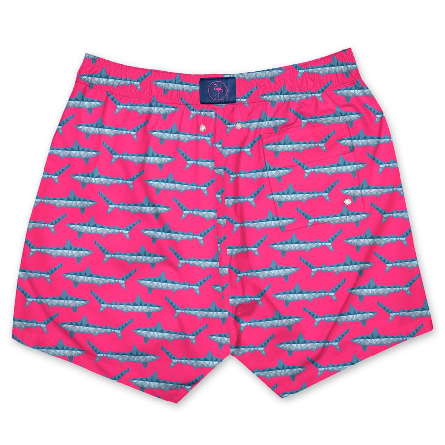 Bañador para niños Megalodon Iconic