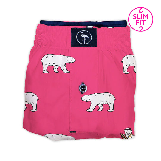 Boxer Polar Siasom