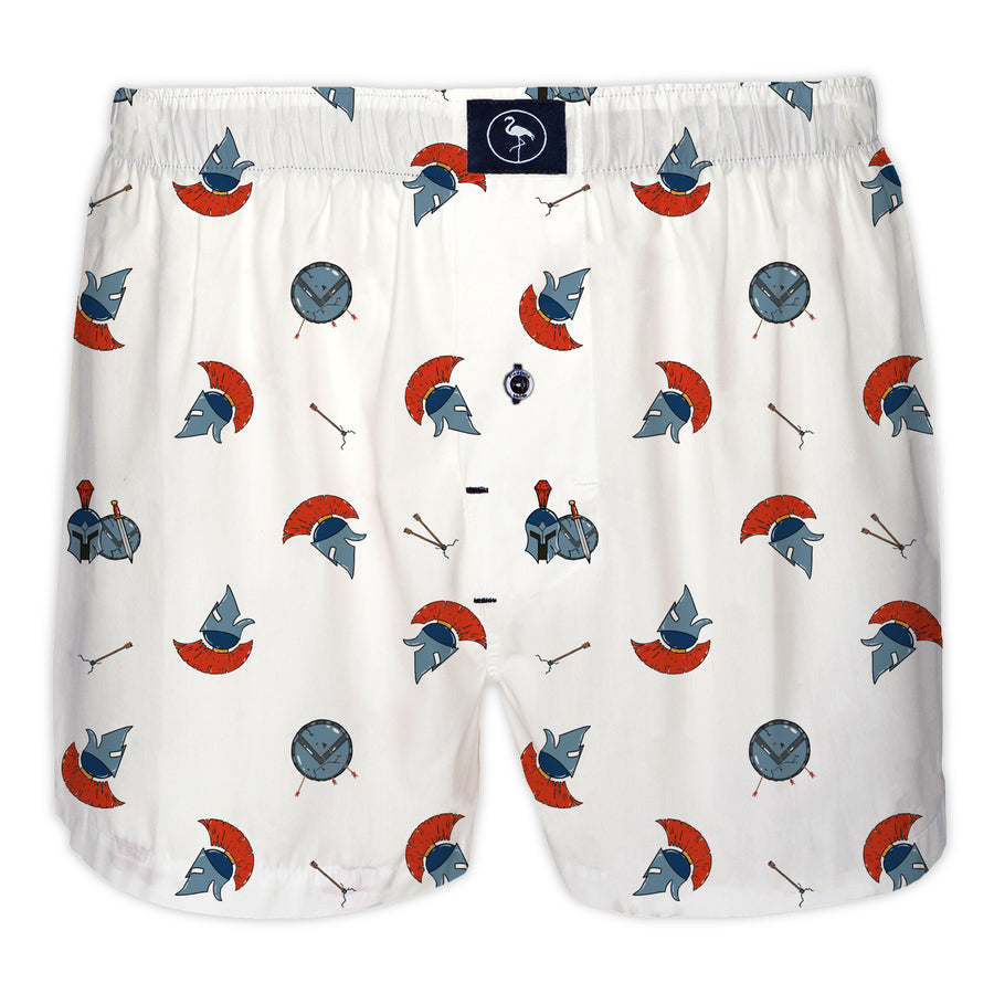 Boxer This is Sparta
