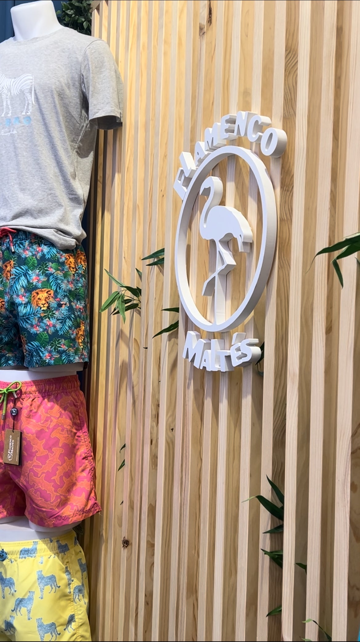 Nuestra tienda · Flamenco Maltés